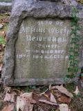 image of grave number 53756